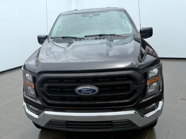 2023 Ford F-150 XL Regular Cab RWD