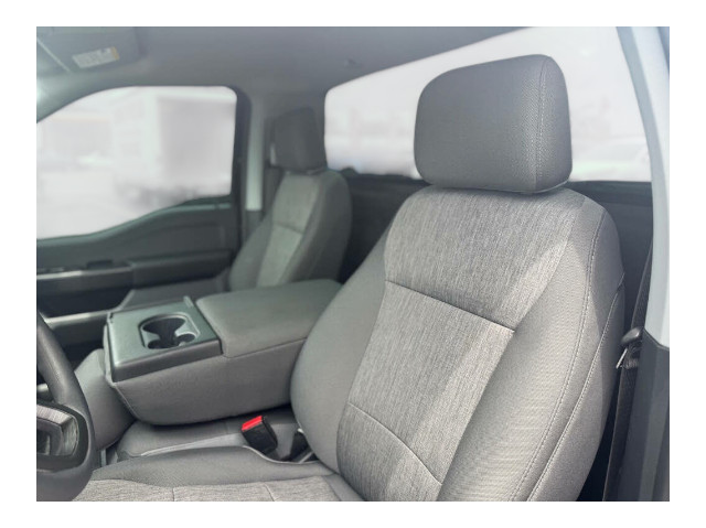 2023 Ford F-150 XL Regular Cab RWD