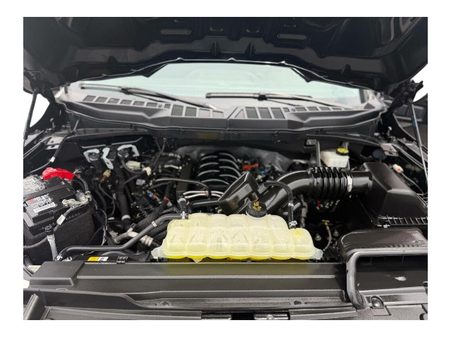 2023 Ford F-150 XL Regular Cab RWD