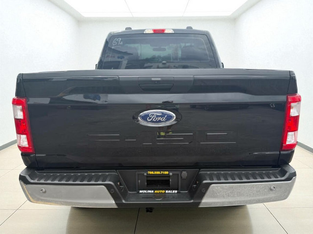 2023 Ford F-150 XL Regular Cab RWD
